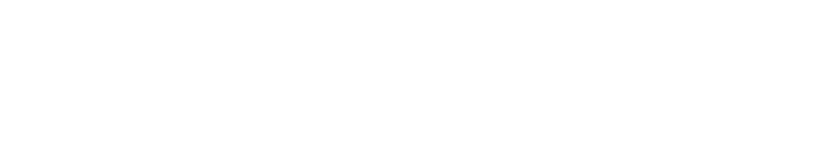 Ari Gunzburg Stylized Signature